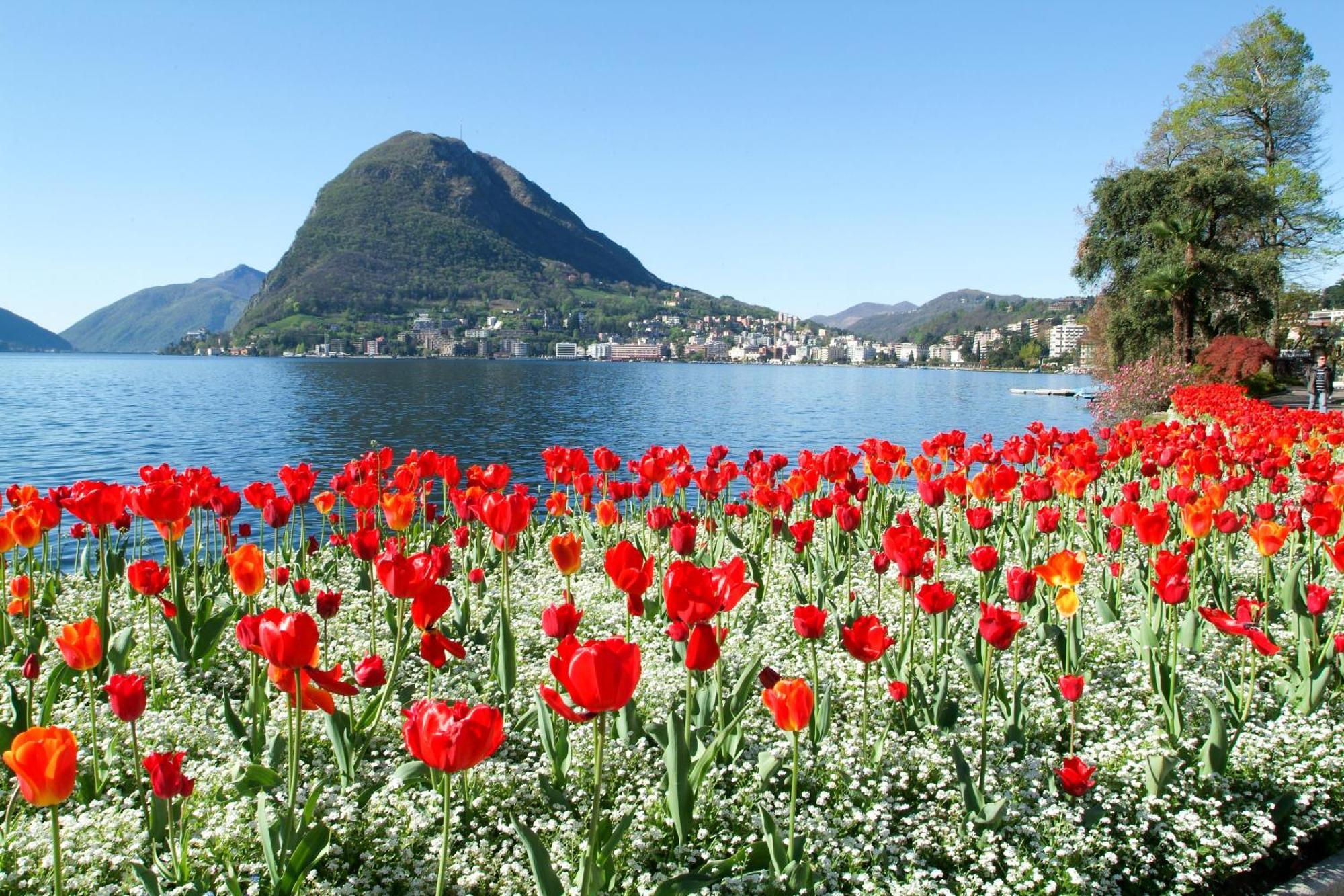 Ferienhaus In Lugano - Happy Rentals Exterior foto